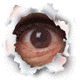 аватар моргающий глаз через дырку