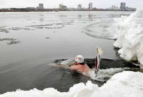 Олимпийский огонь в Заполярье несут моржи.