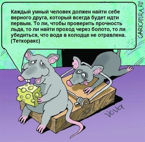 Карикатура, Лучший друг, Мышь