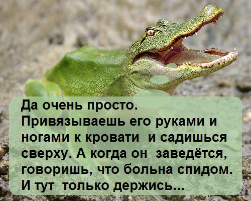 frog 32